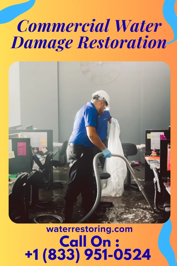 Commercial Water Damage Restoration in Bruce, SD