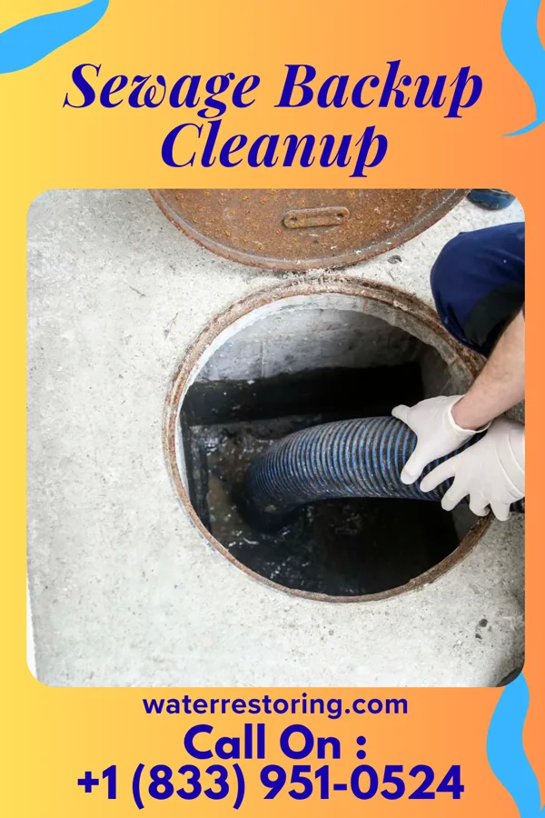 Sewage Backup Cleanup in Bruce, SD